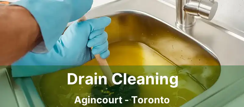  Drain Cleaning Agincourt - Toronto
