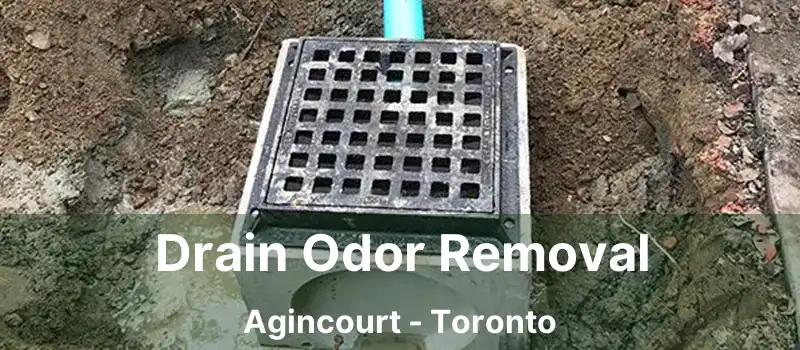  Drain Odor Removal Agincourt - Toronto