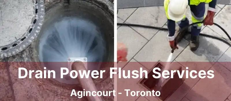 Drain Power Flush Services Agincourt - Toronto