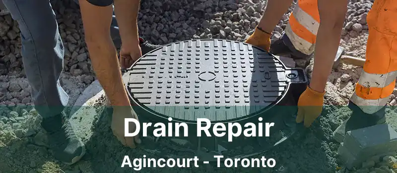  Drain Repair Agincourt - Toronto